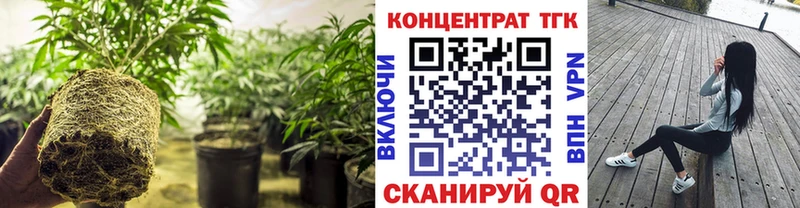 ТГК THC oil  Купить закладки  Рославль 