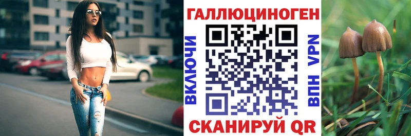 Купить где  Рославль  Псилоцибиновые грибы Psilocybine cubensis 